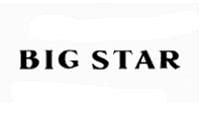 BigStarDenim logo