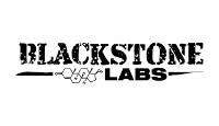 BlackstoneLabs logo