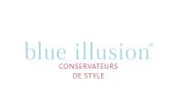 BlueIllusion logo
