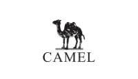 CAMELStore logo
