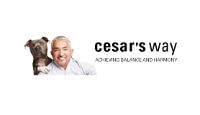 CesarsWay logo