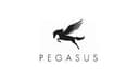 Pegasus Menswear logo