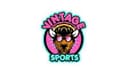 Vintage Buffalo Sports logo