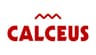 Calceus logo