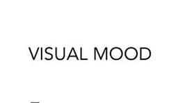 Visual Mood logo