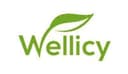 Wellicy logo